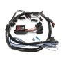 MSD IGNITION MSD87311 2-Step Rev-Limiter Ford Coyote 2/23/16 & Newer