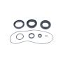 All Balls Racing 25-2135-5 09-13 Honda Big Red MUV 700 Differential Seal Only Kit Front