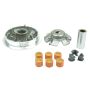 Athena P400210110009 Variator Rollers Kits