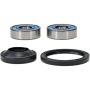 Pivot Works 25-1069-P Honda, KTM Wheel Bearing Kit Premium Bearings
