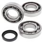 All Balls Racing 24-1090 12-14 Polaris Hawkeye 400 HO 2x4 Crank Shaft Bearing Kit