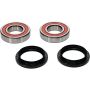 Pivot Works 25-1693-P Wheel Bearing Kit