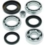 QuadBoss 413384 85-87 Honda ATC250ES/SX Rear Differential Bearing & Seal Kit