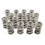 PAC RACING SPRINGS PACPAC-1351H-16 1.667 Triple Valve Springs (16)