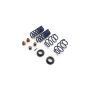 Ford Racing M-5300-S65S 2015-2024 Mustang Street Lowering Spring Kit