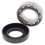 All Balls Racing 25-1715 John Deere Gator CS Wheel Bearing Kit Rear