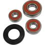 Pivot Works 25-1551-P Suzuki Wheel Bearing Kit Premium Bearings