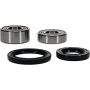 Pivot Works 25-1020-P Pw Premium Wheel Bearing