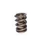 COMP Cams Valve Spring 1.625in CHR