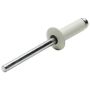 ALLSTAR PERFORMANCE ALL18001 Sm Hd Rivet White 250pk