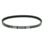 Athena S41PLAT010 94-97 Peugeot Peugeot 50 Transmission Belt