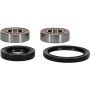 Pivot Works 25-1076-P Honda Wheel Bearing Kit Premium Bearings