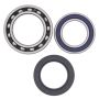 All Balls Racing 25-1011 85-89 Yamaha YFM200 Moto-4 Wheel Bearing Kit Rear