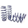 H&R 28659-2 19-22 Tesla Model 3 Standard Range/Standard Range+ (RWD) Sport Spring (Non Air Susp.)