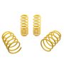 Suspension (65627 ST LOWERING SPRINGS)