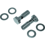 Bikers Choice 482866 Evolution Cam Big Twin Breather Bolt Kit