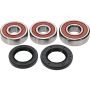 Pivot Works 25-1710-P Honda Wheel Bearing Kit Premium Bearings