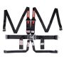 Racequip 718008 Black L & L 6pt HNR Seat Belt