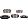 Pivot Works 25-1546-P Yamaha Wheel Bearing Kit Premium Bearings