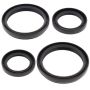 All Balls Racing 25-2050-5 04-05 Arctic Cat 250 4x4 Differential Seal Only Kit Front