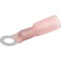 ALLSTAR PERFORMANCE ALL76063 Ring Terminal #10 Hole Heat Shrink 22-18 10pk