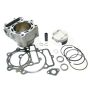Athena P400220100002 Big Bore Cylinder Kits