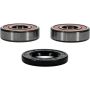 Pivot Works 25-1354-P Indian Wheel Bearing Kit Premium Bearings