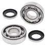 All Balls Racing 24-1044 83-90 Kawasaki KDX200 Crank Shaft Bearing Kit