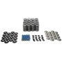 Chevy LS Spring Kit 1.295 w/Ti-Retainers