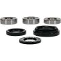 Pivot Works 25-1037-P Wheel Bearing Kit