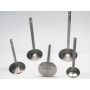 Ferrea Chevy/Chry/Ford BB 2.5in 5/16in 6.9in 0.29in 13 Deg Titanium Comp Intake Valve - Single