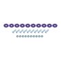 ALLSTAR PERFORMANCE ALL18687 Countersunk Bolt Kit Purple 10pk