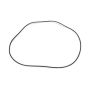PETERSON FLUID PTR08-0112 Replacement O-Ring 9in Dia