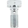 ALLSTAR PERFORMANCE ALL50077 Banjo Bolts 10mm-1.50 2pk