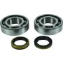 All Balls Racing 24-1122 13-23 Beta EVO 2T 125 Crank Shaft Bearing Kit