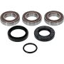 Pivot Works 25-1034-P Wheel Bearing Kit