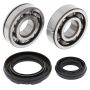 All Balls Racing 24-1034 87-09 Yamaha YFZ350 Banshee Crank Shaft Bearing Kit