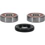 Pivot Works 25-1161-P Yamaha Wheel Bearing Kit Premium Bearings