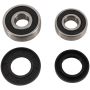 Pivot Works PWRWK-H14-040 1998 Honda XLR125 (Euro) PW Rear Wheel Bearing Kit