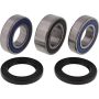 All Balls Racing 25-1556 Wheel Bearing Kits