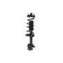 FCS Struts 1331008L Suspension Strut and Coil Spring Assembly