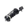 FCS Struts 1331008L Suspension Strut and Coil Spring Assembly