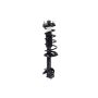 FCS Struts 1331008R Suspension Strut and Coil Spring Assembly