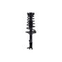FCS Struts 1331048L Suspension Strut and Coil Spring Assembly