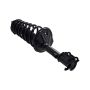 FCS Struts 1331048L Suspension Strut and Coil Spring Assembly