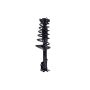 FCS Struts 1331048R Suspension Strut and Coil Spring Assembly