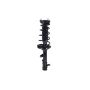 FCS Struts 1331060L Suspension Strut and Coil Spring Assembly