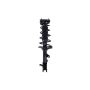 FCS Struts 1331060L Suspension Strut and Coil Spring Assembly