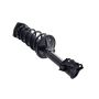 FCS Struts 1331060L Suspension Strut and Coil Spring Assembly