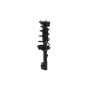 FCS Struts 1331060R Suspension Strut and Coil Spring Assembly